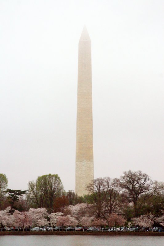 A Fog Shrouded Washington Monument